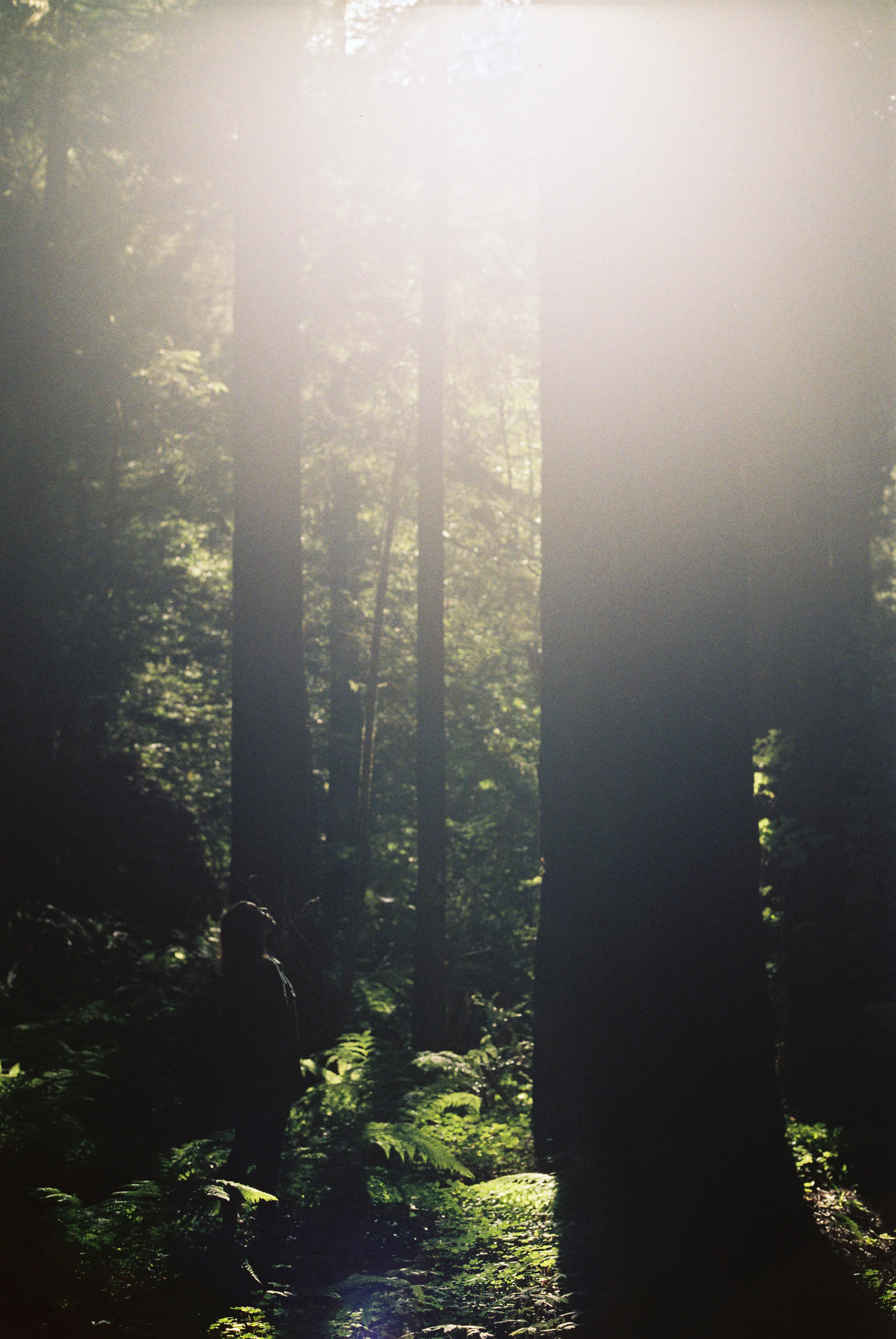 CaliforniaCoastRide-91.jpg
