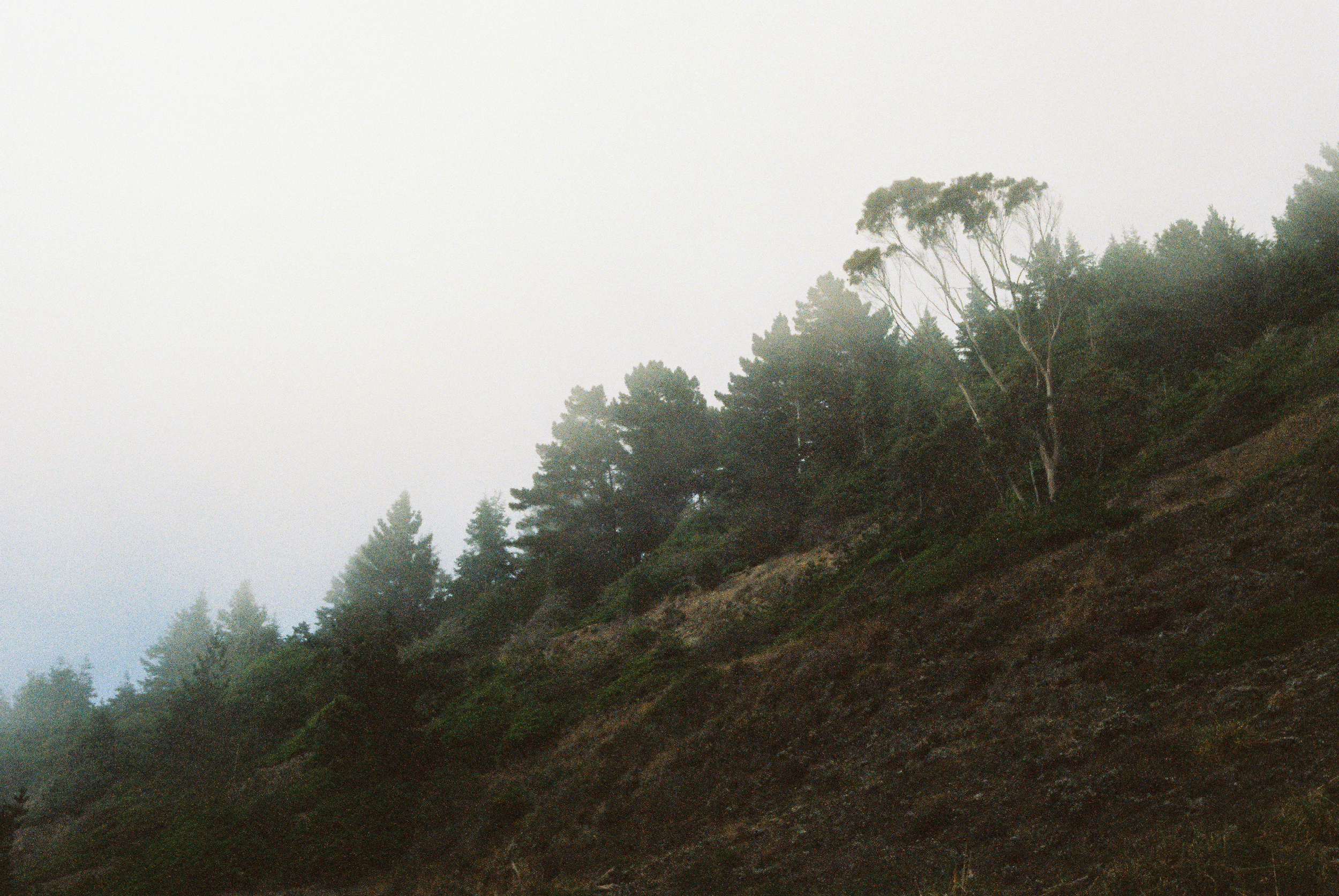CaliforniaCoastRide-96.jpg