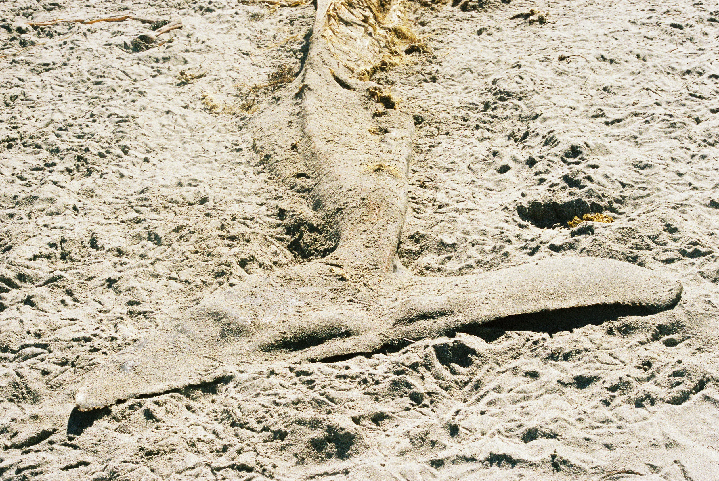 CaliforniaCoastRide-113.jpg