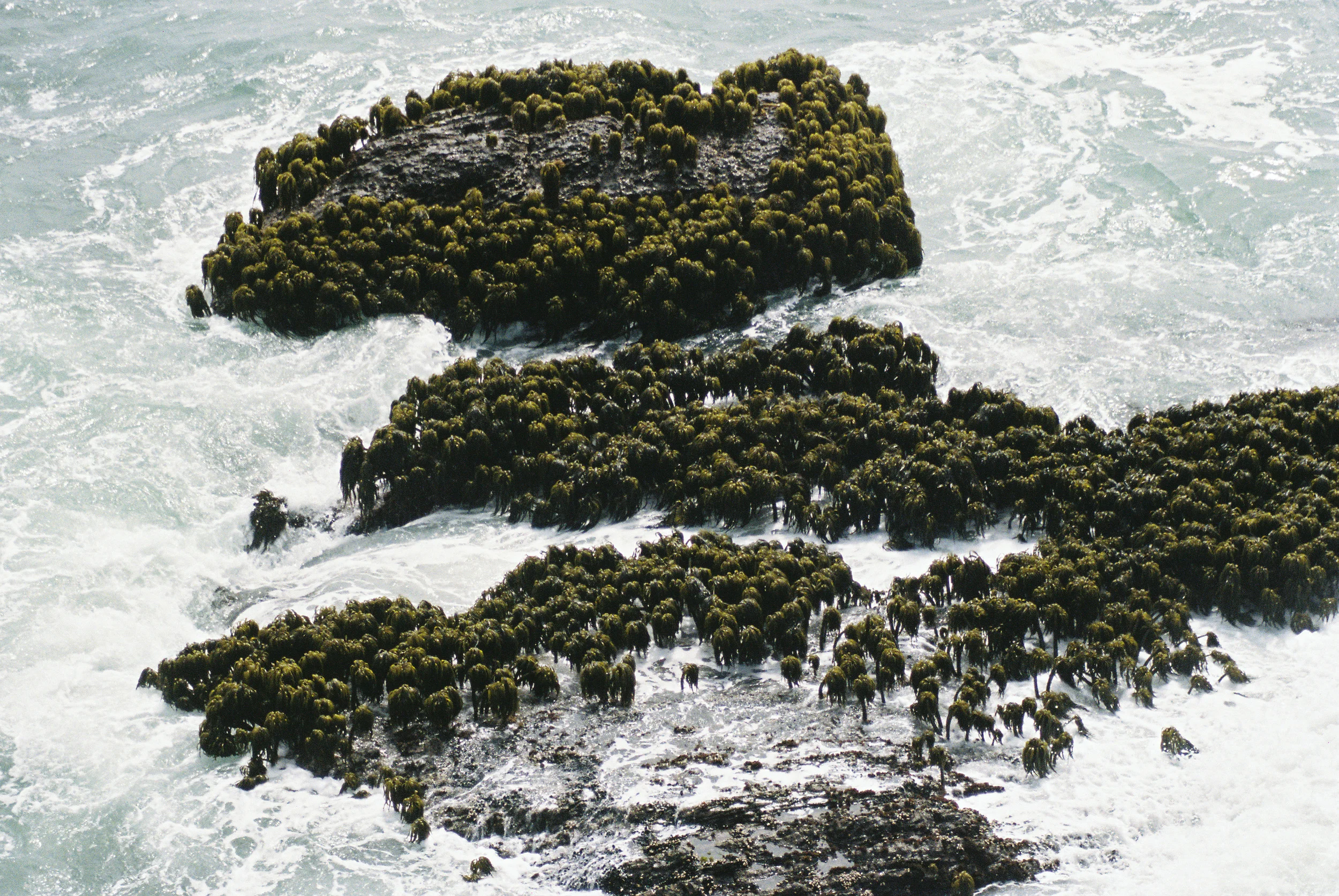 CaliforniaCoastRide-131.jpg