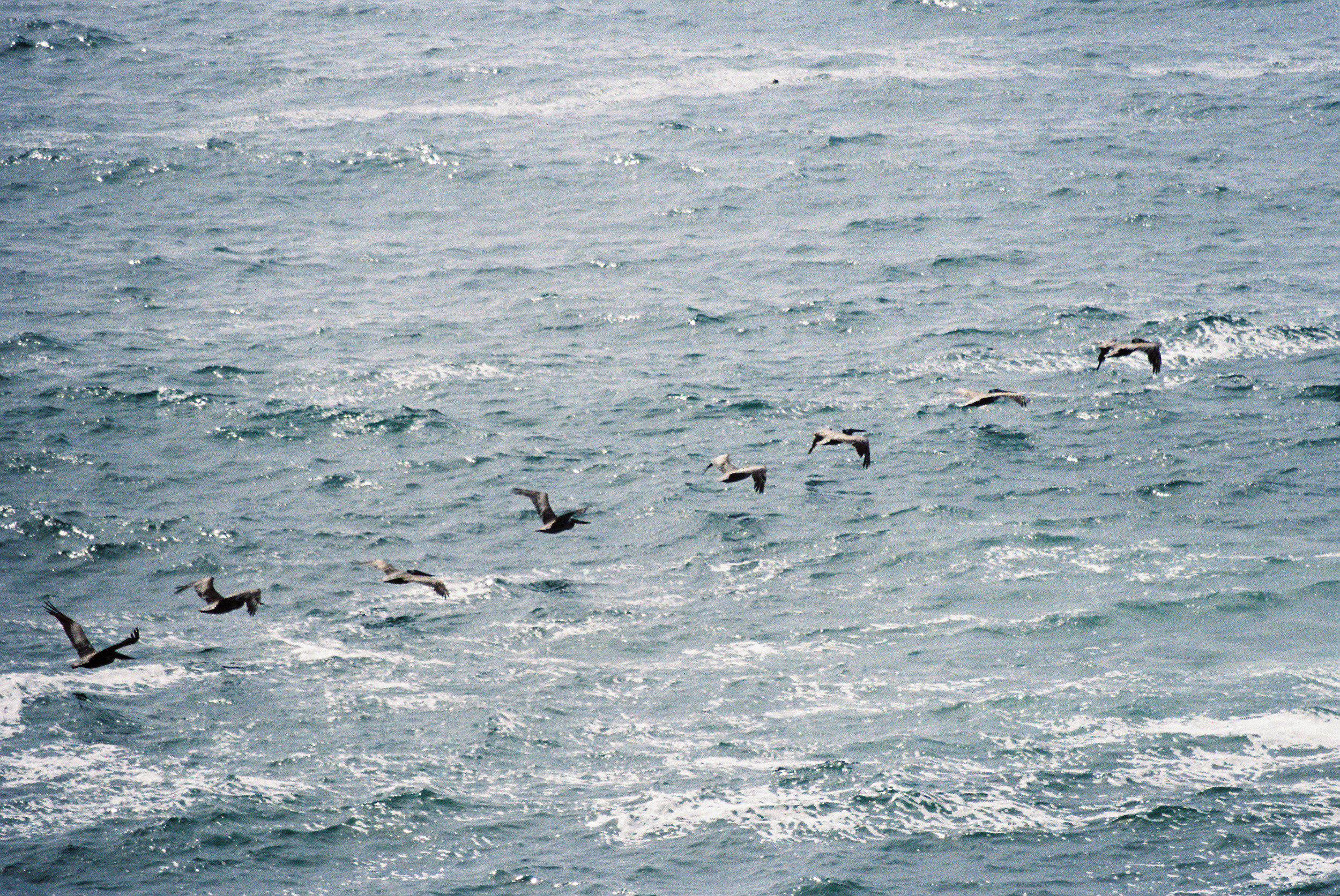 CaliforniaCoastRide-133.jpg