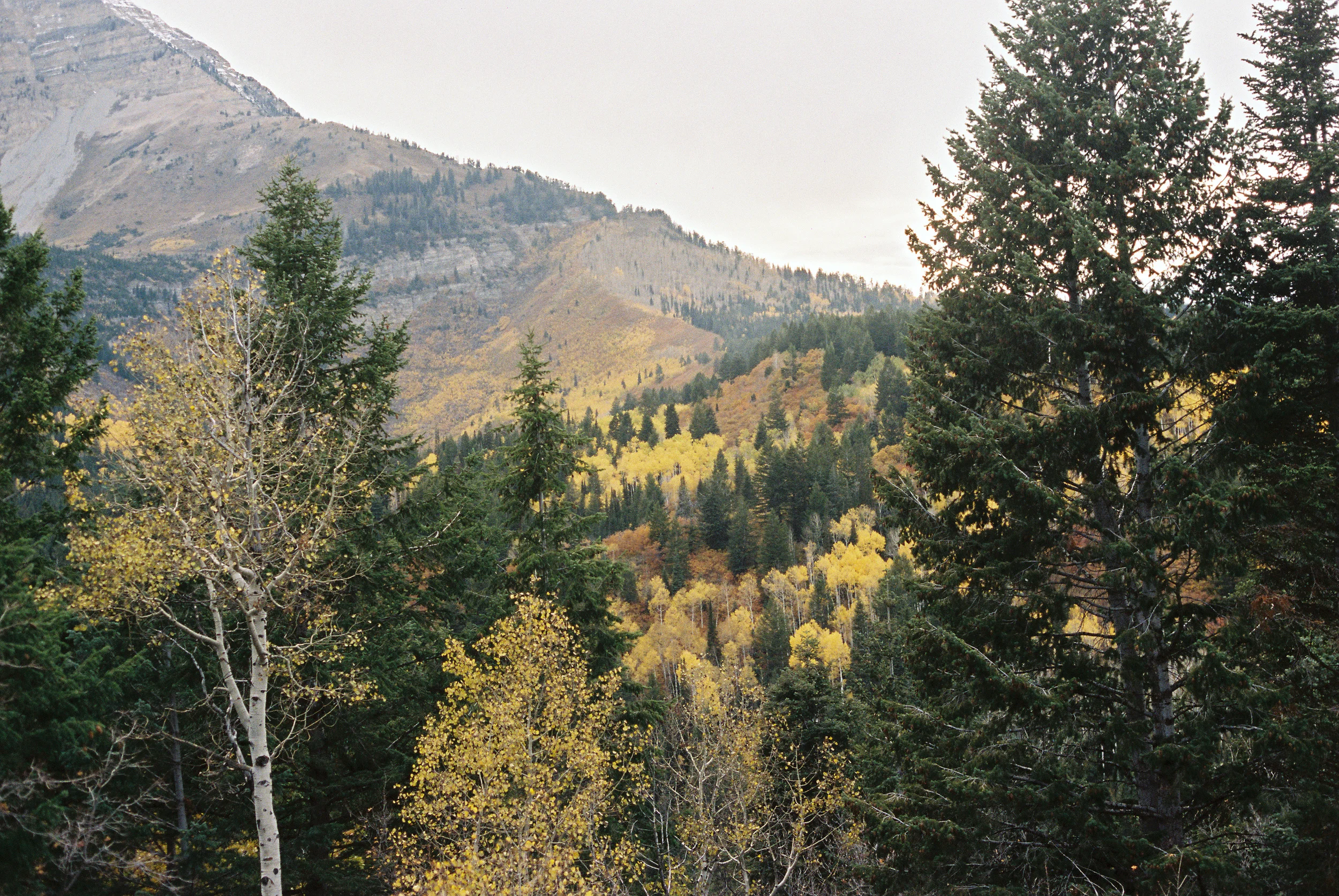 1590wad141031-R10-023-10.jpg