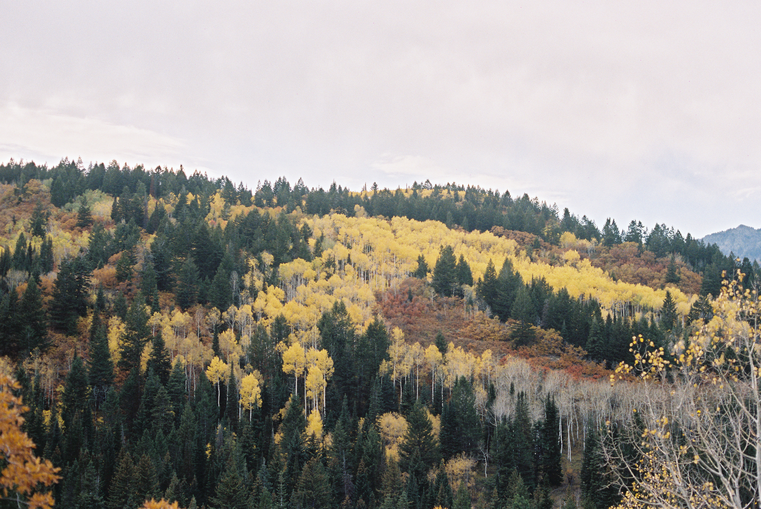 1590wad141031-R10-027-12.jpg