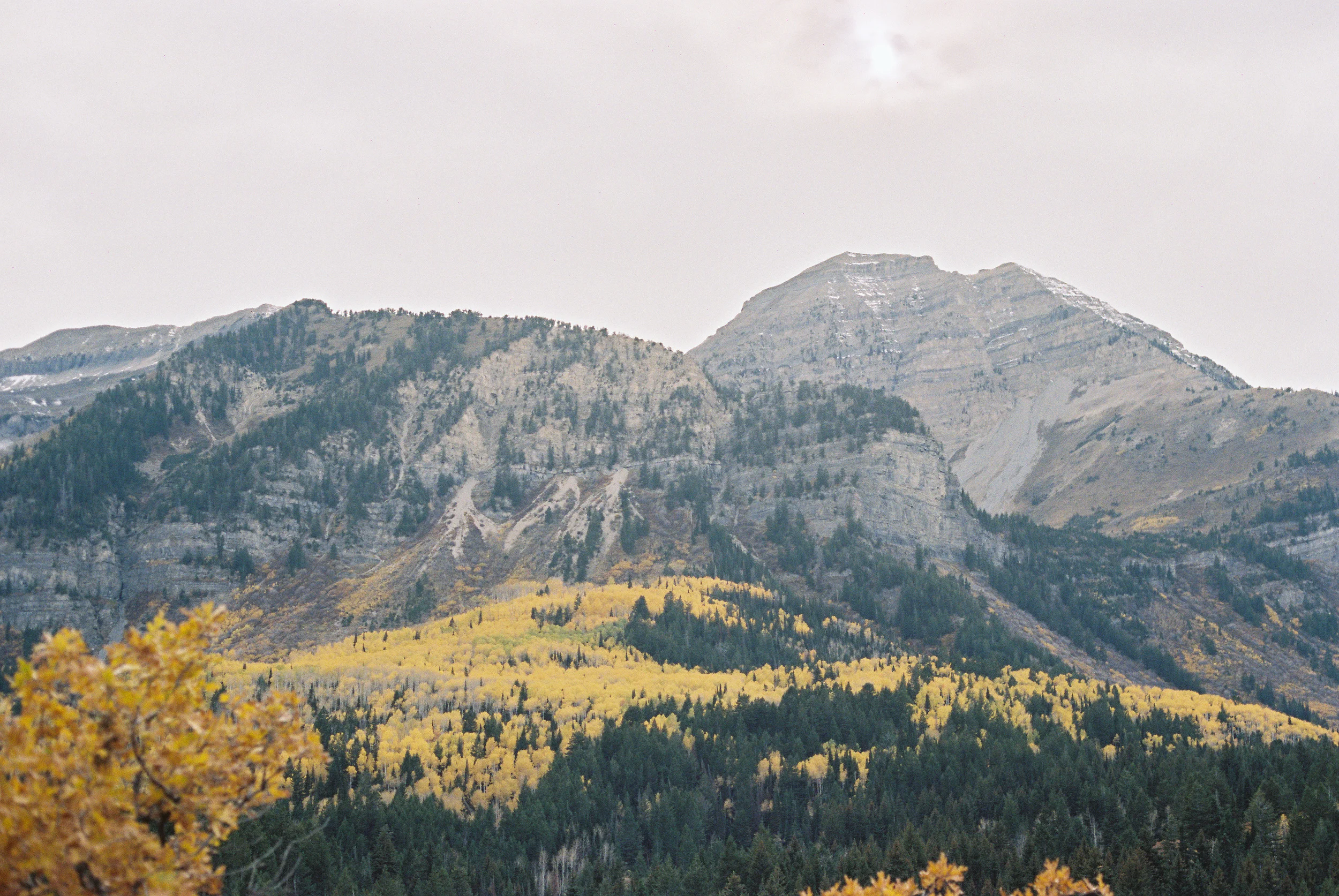 1590wad141031-R10-029-13.jpg
