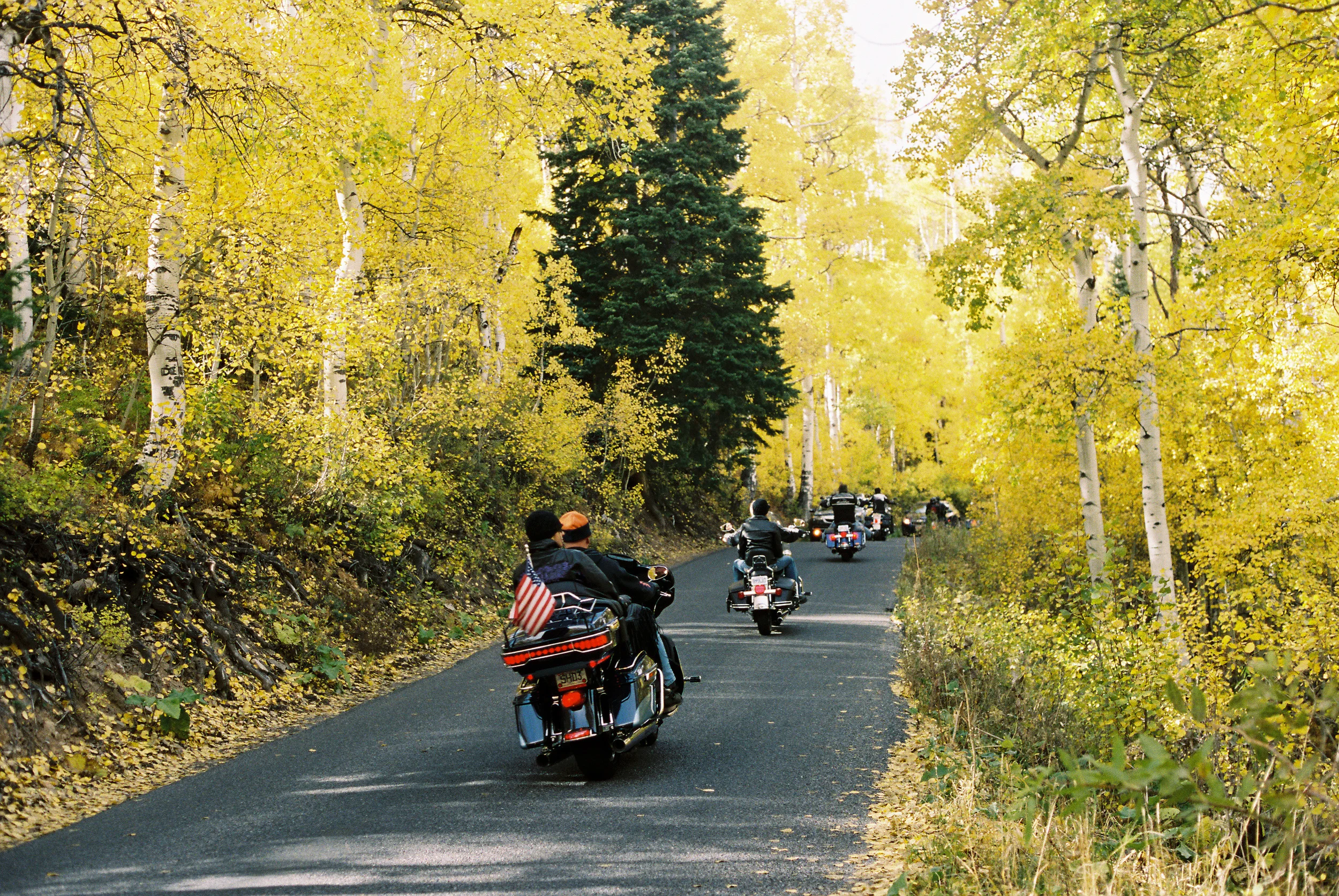 1590wad141031-R7-054-25A.jpg