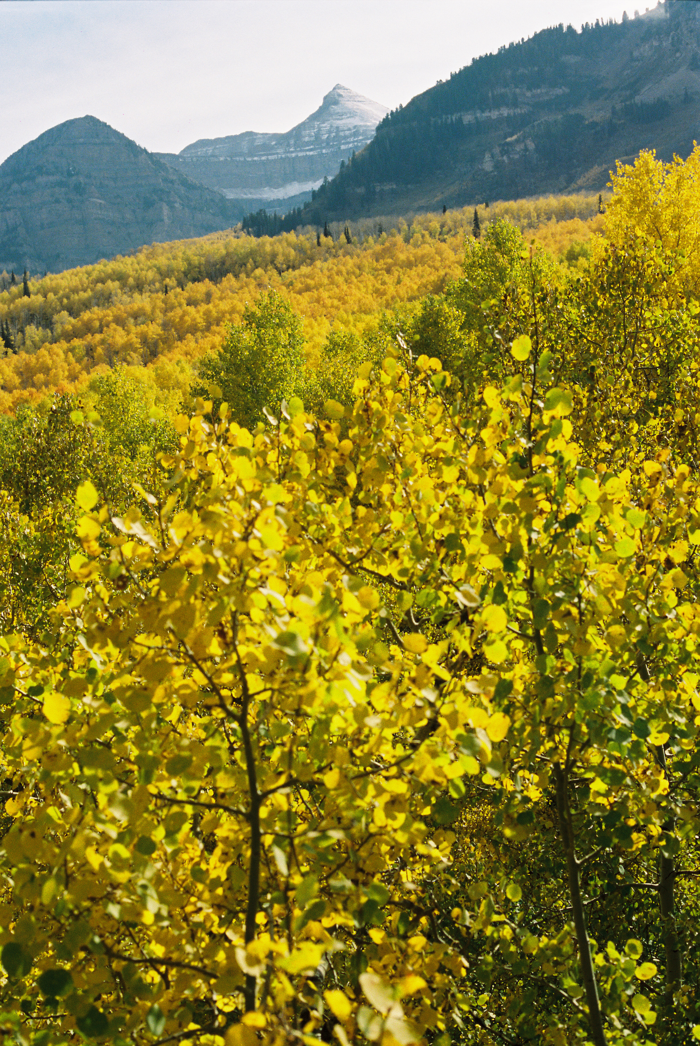 1590wad141031-R7-076-36A.jpg
