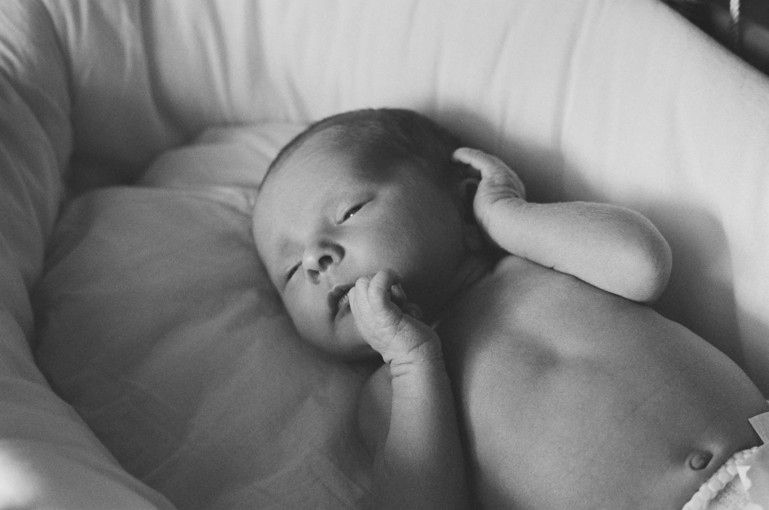 Brewer-Newborns-31.jpg