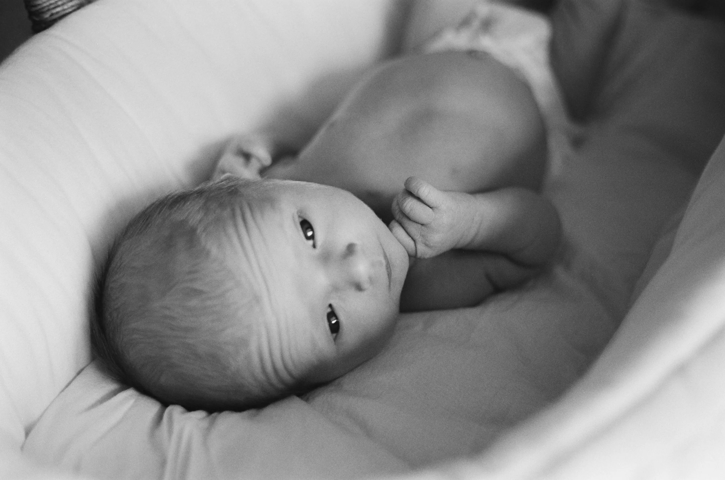Brewer-Newborns-29.jpg
