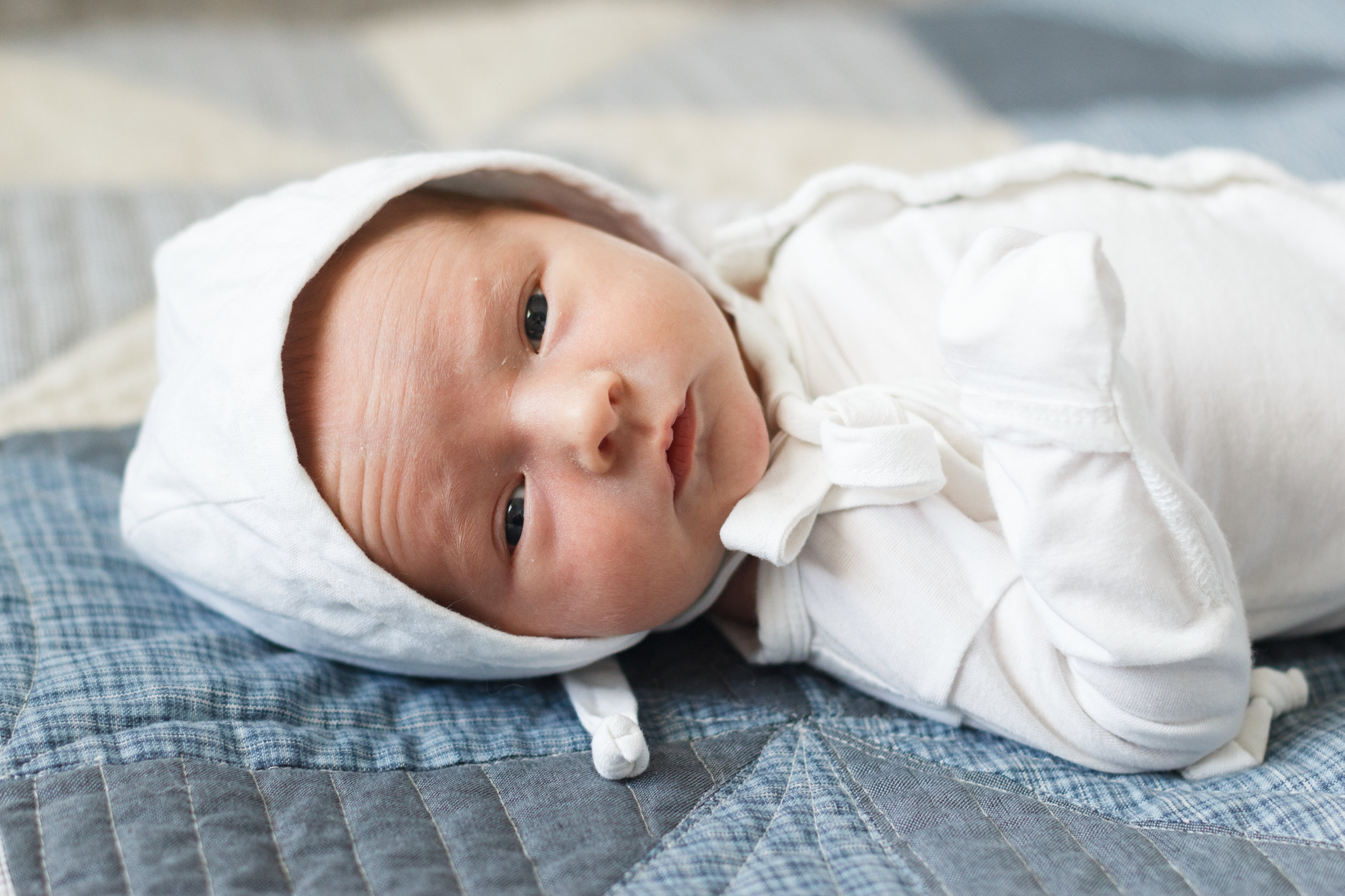 Brewer-Newborns-3283.jpg