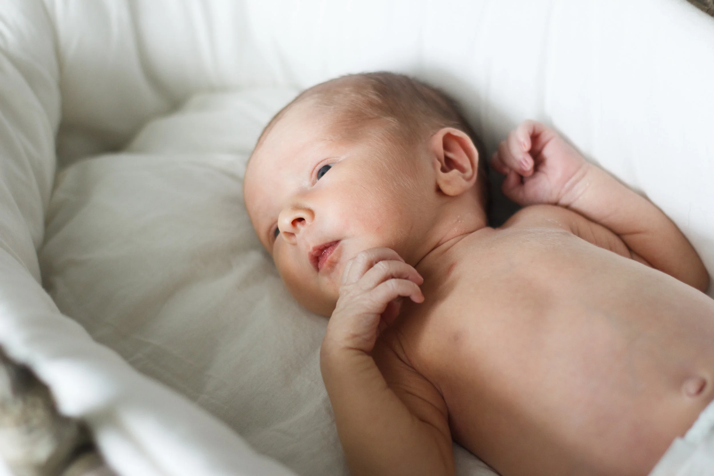 Brewer-Newborns-2891.jpg