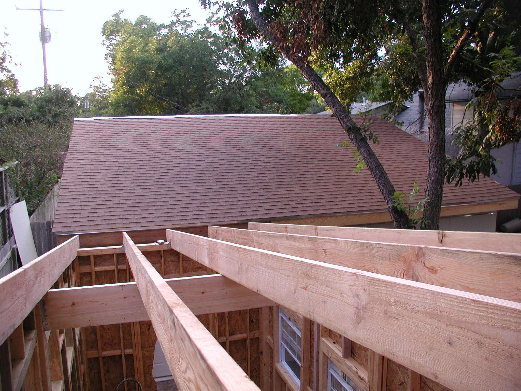 Butterfly roofs taking flight.