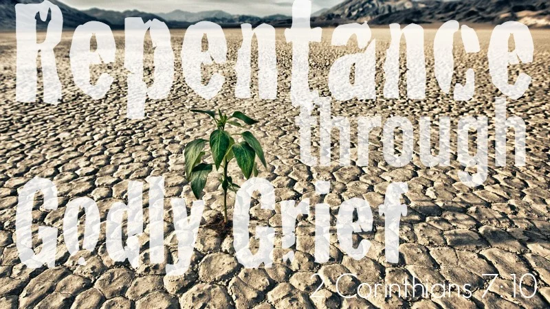 Repentance Through Godly Grief