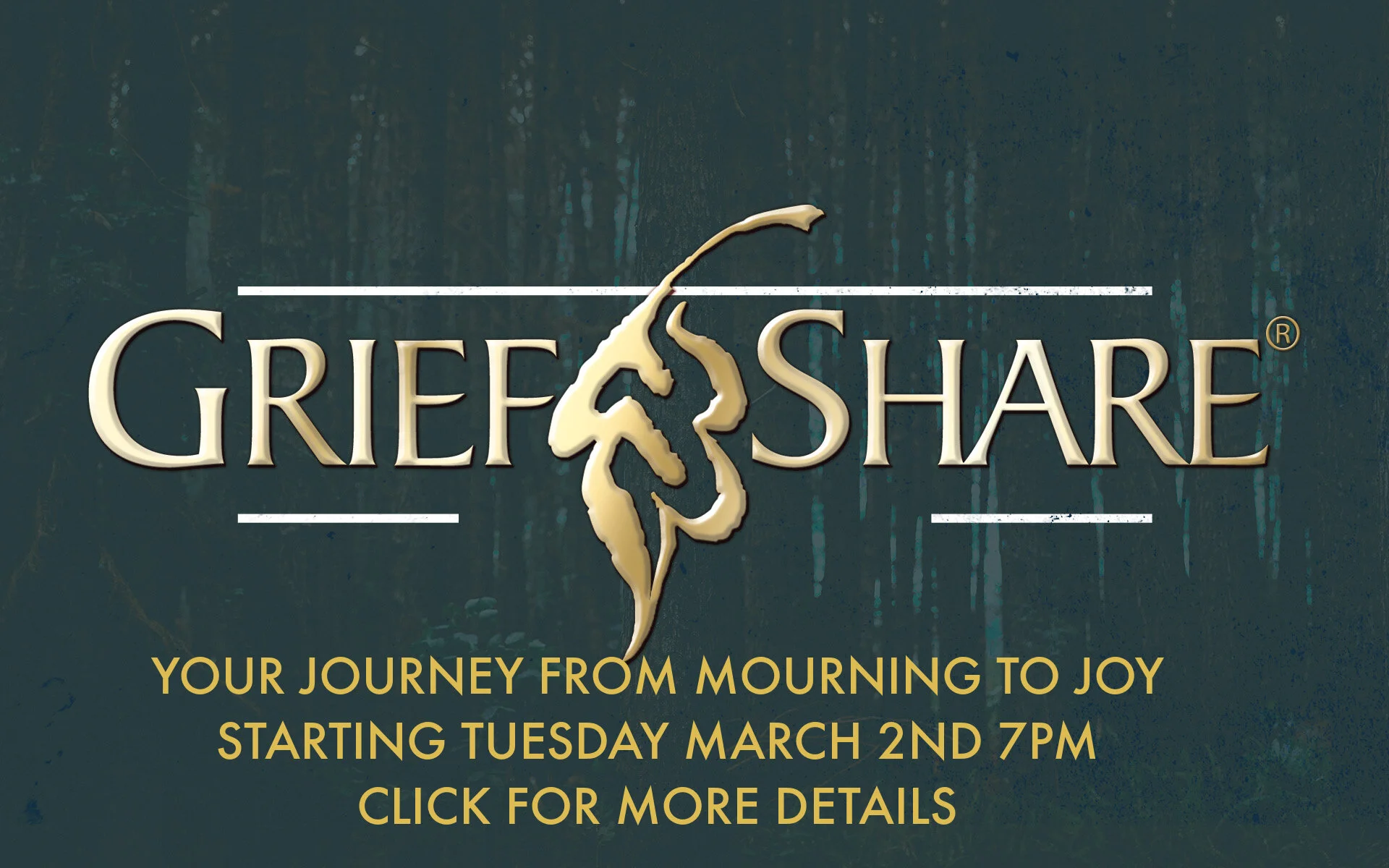 Griefshare 