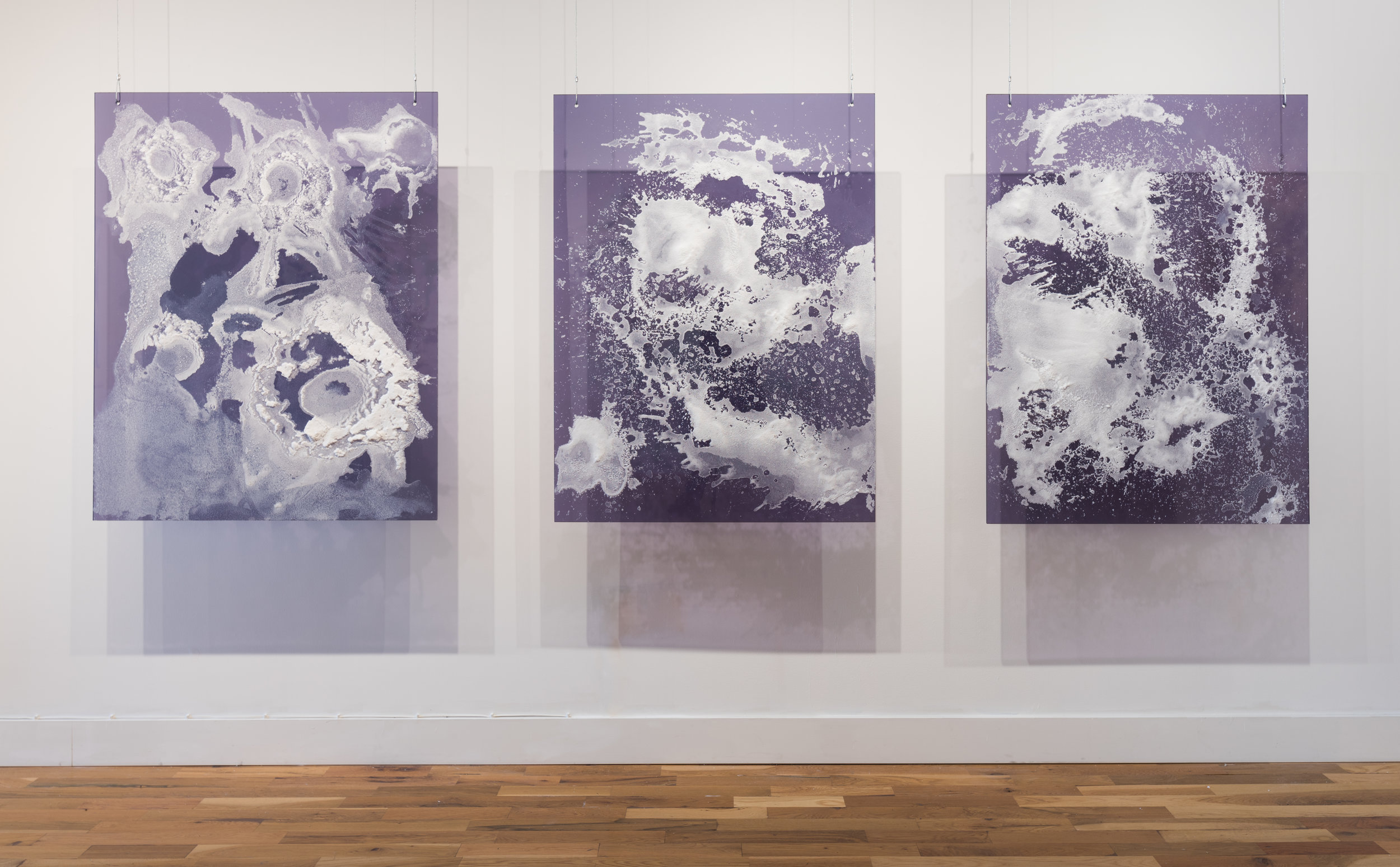 Karen-White-Accretion-DSC_4431.jpg