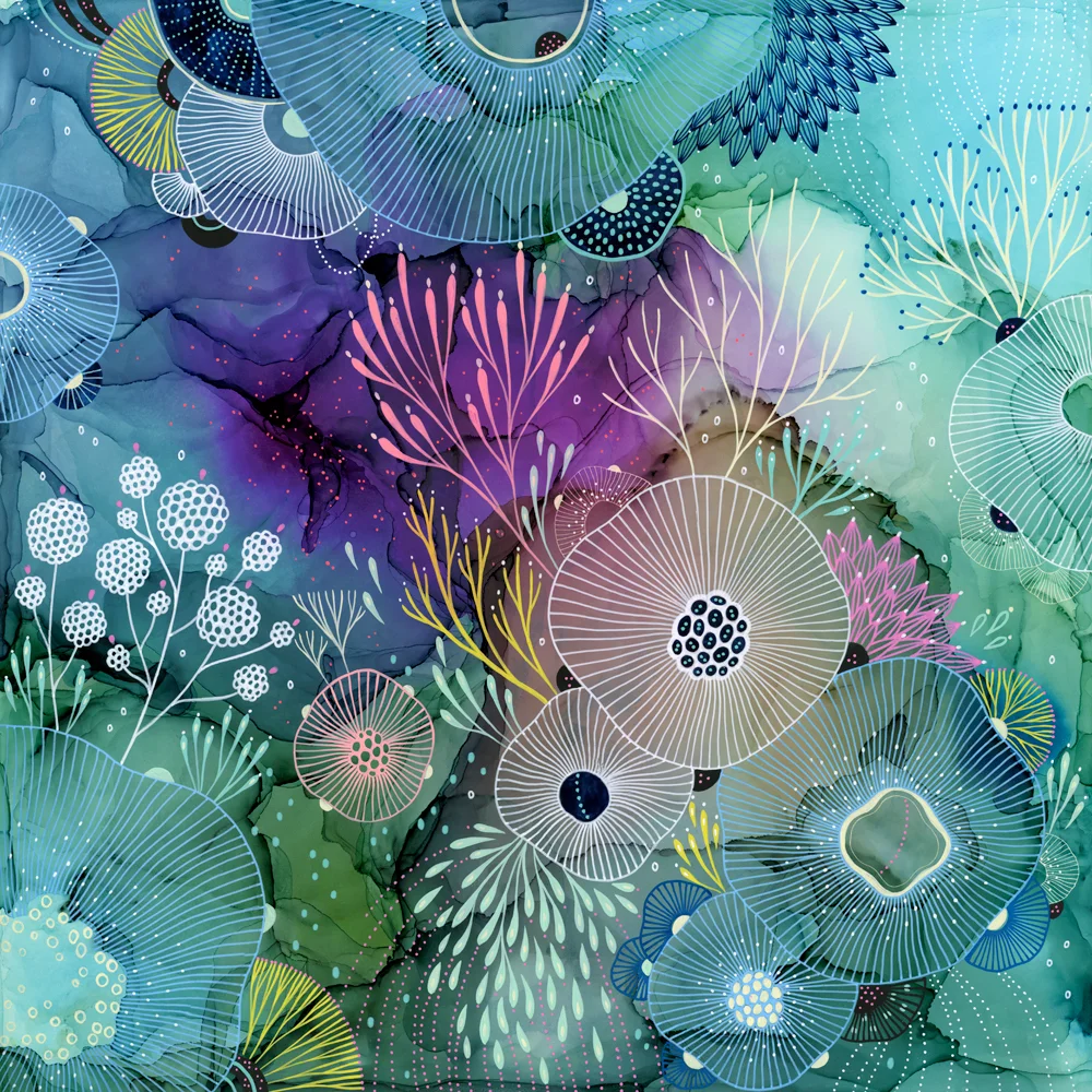 Whim_1000x1000.jpg