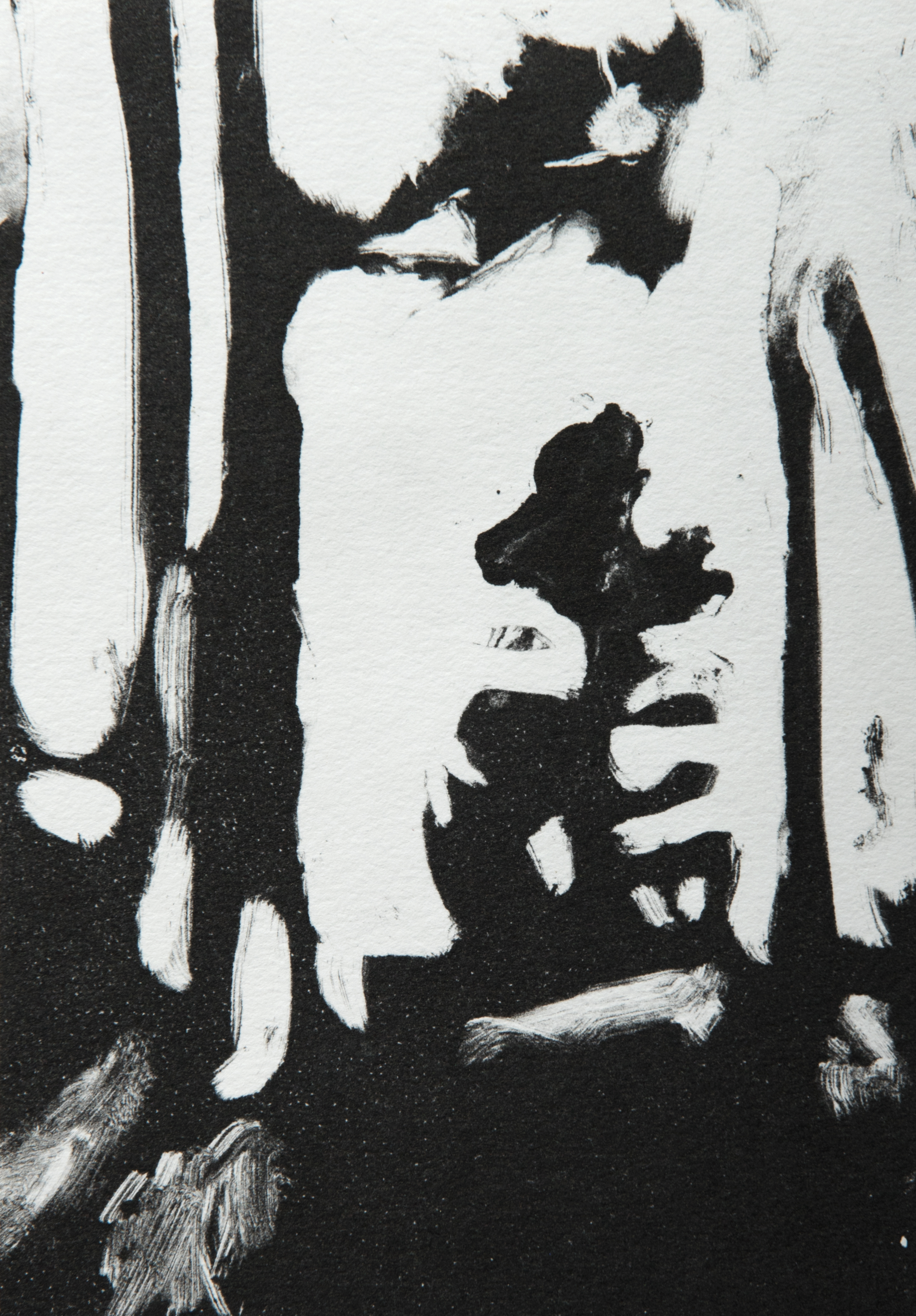 shadows from the woods_8 x 5.5 inches_monoprint_2018.jpg