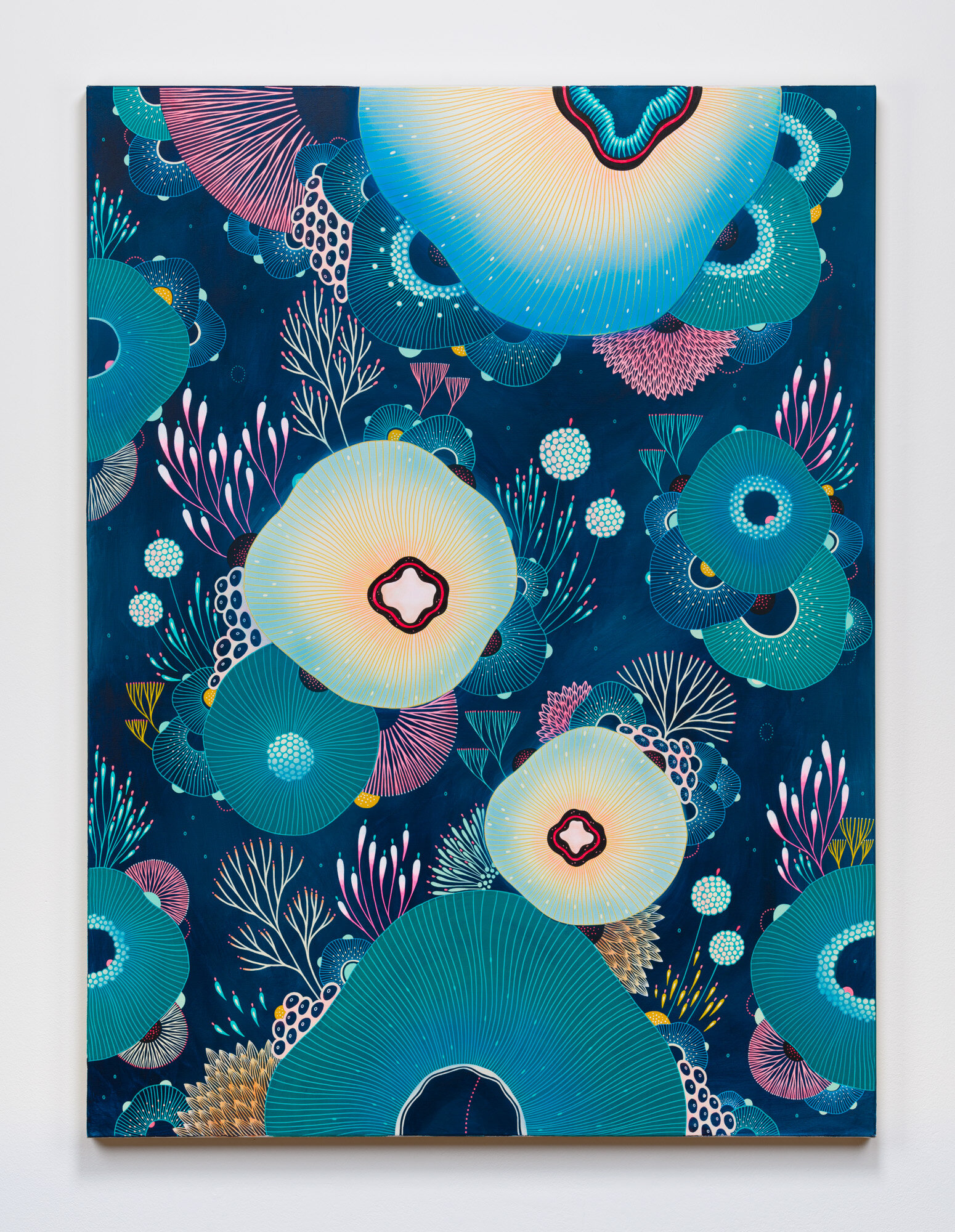 Anomaly