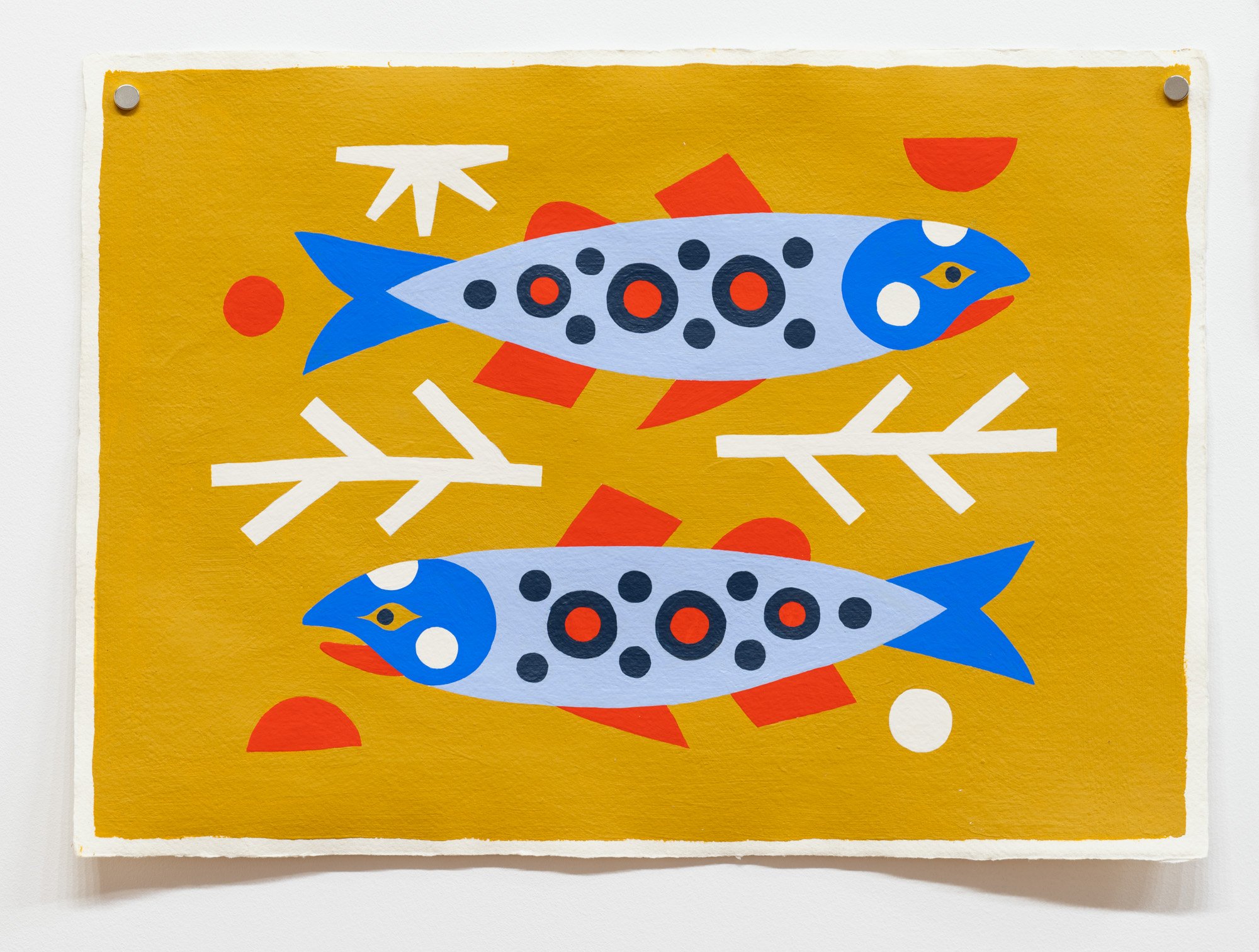 Spawning Kokanee