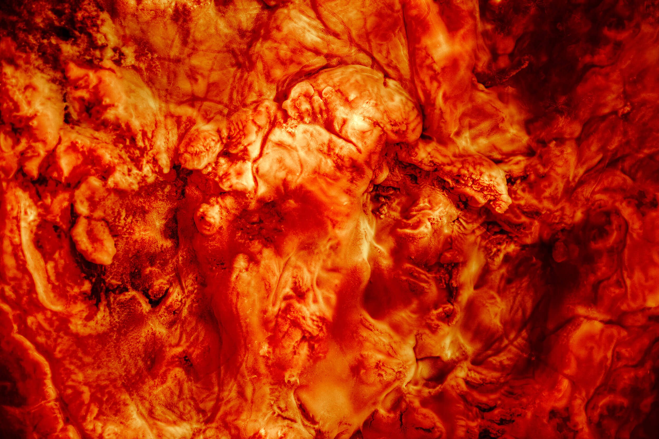 The Lungs of the River I