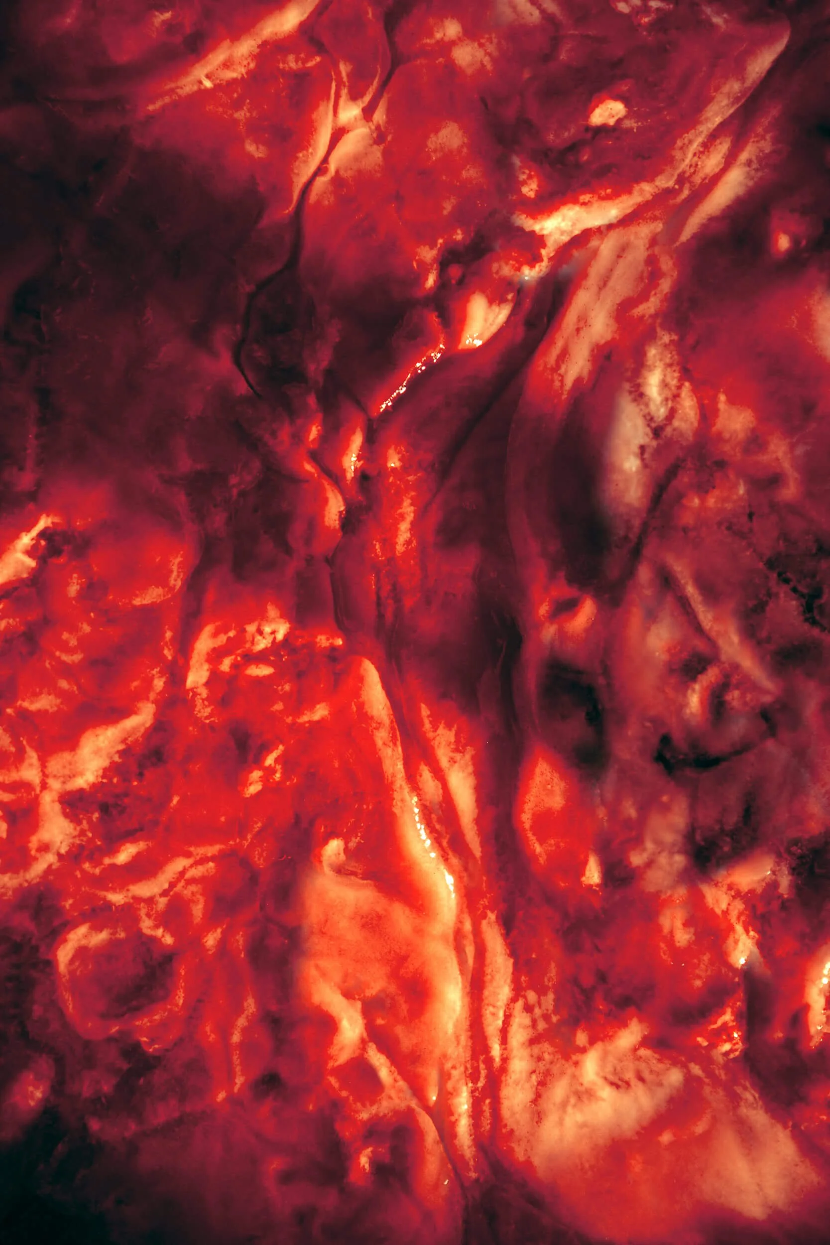Arteries of Light II