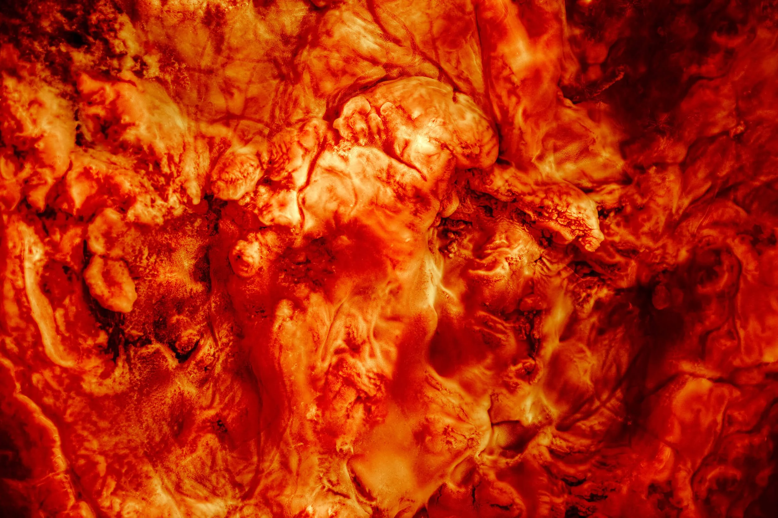 The Lungs of the River I