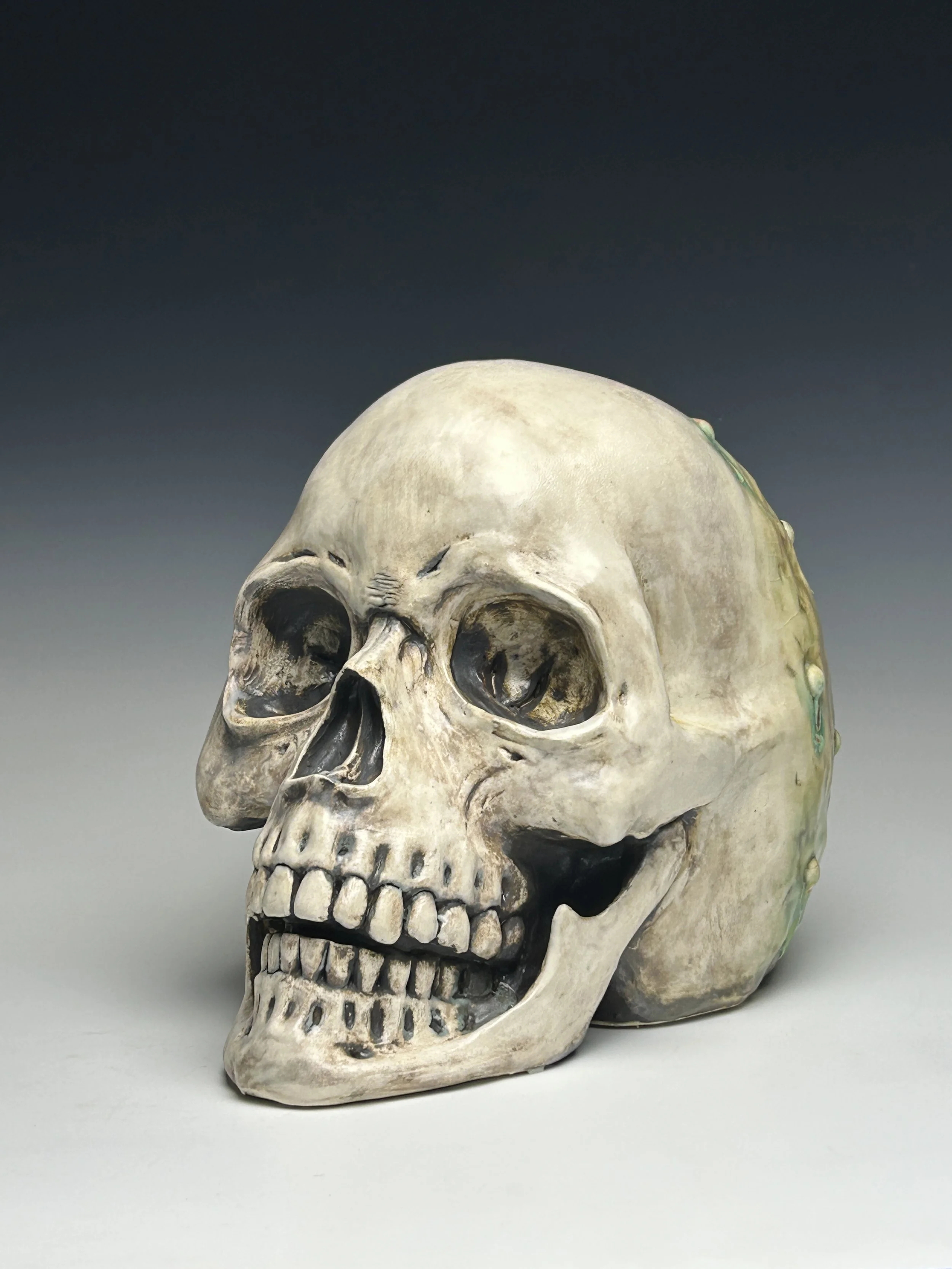 Starting from the Ground Up