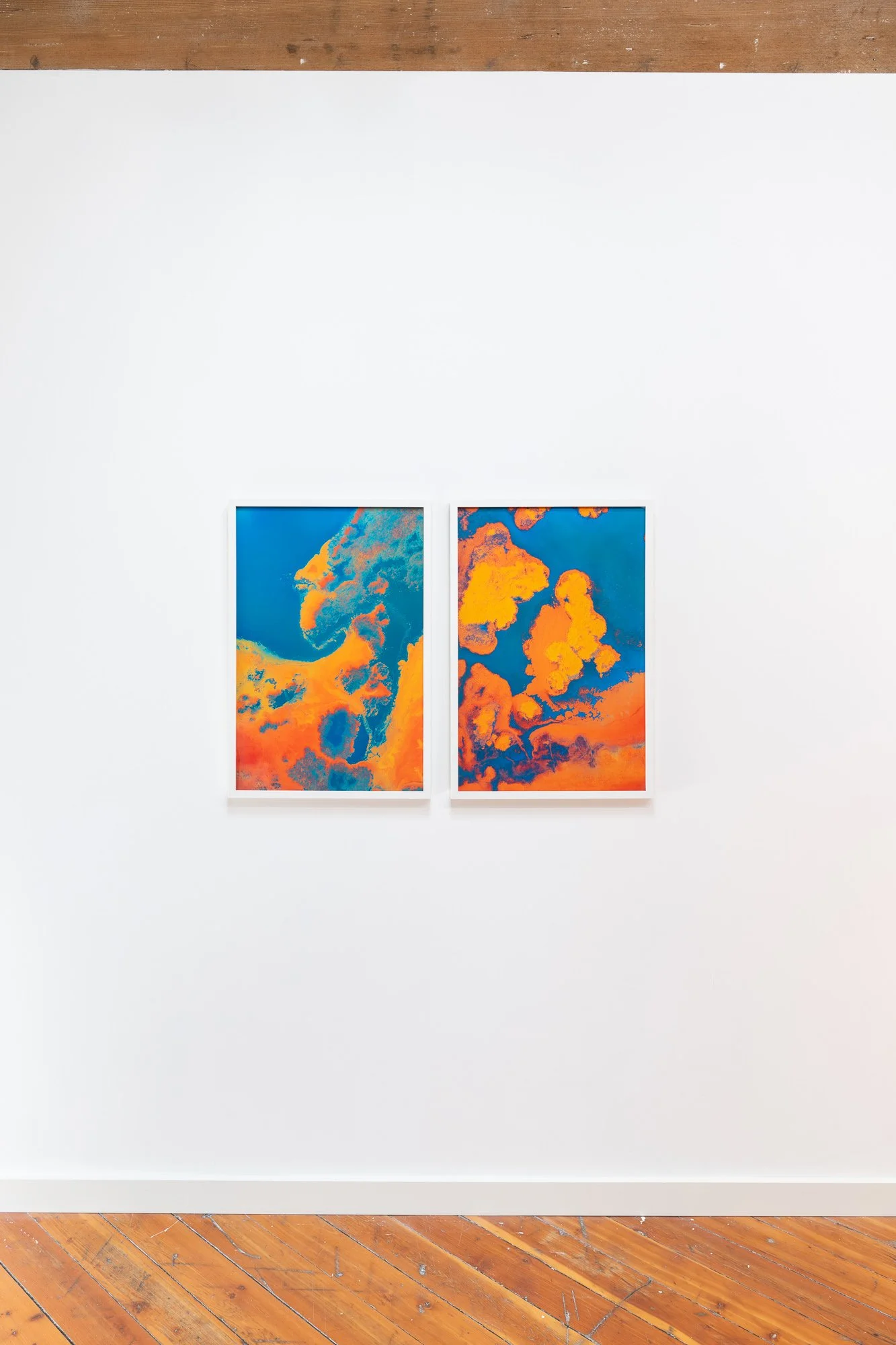 A Constellation of Shores