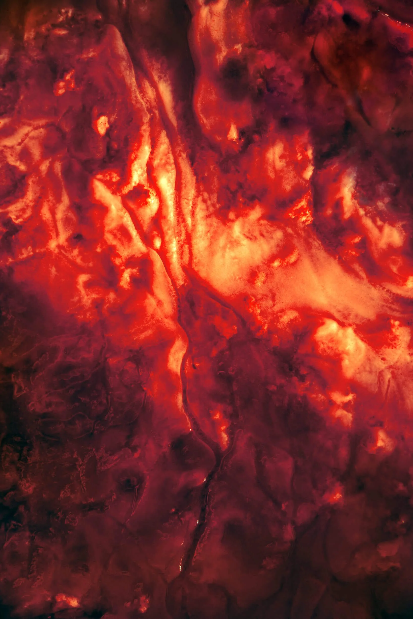 Arteries of Light I