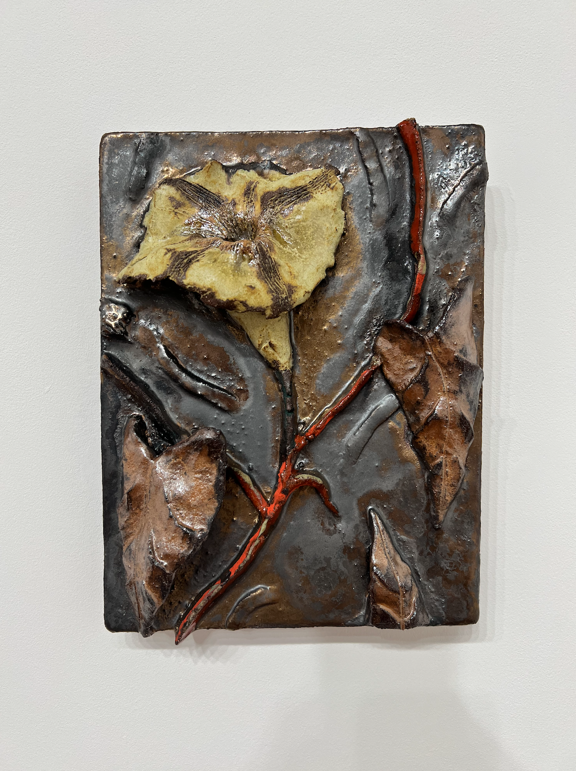 Morning Face Seeing Seeds