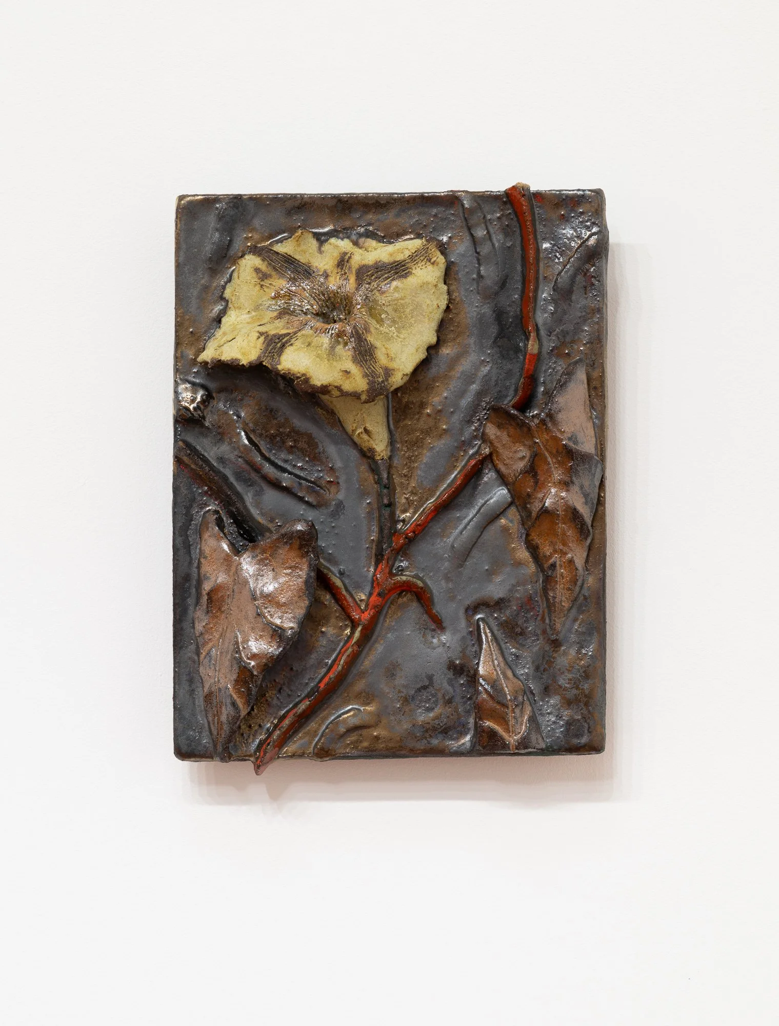 Morning Face Seeing Seeds