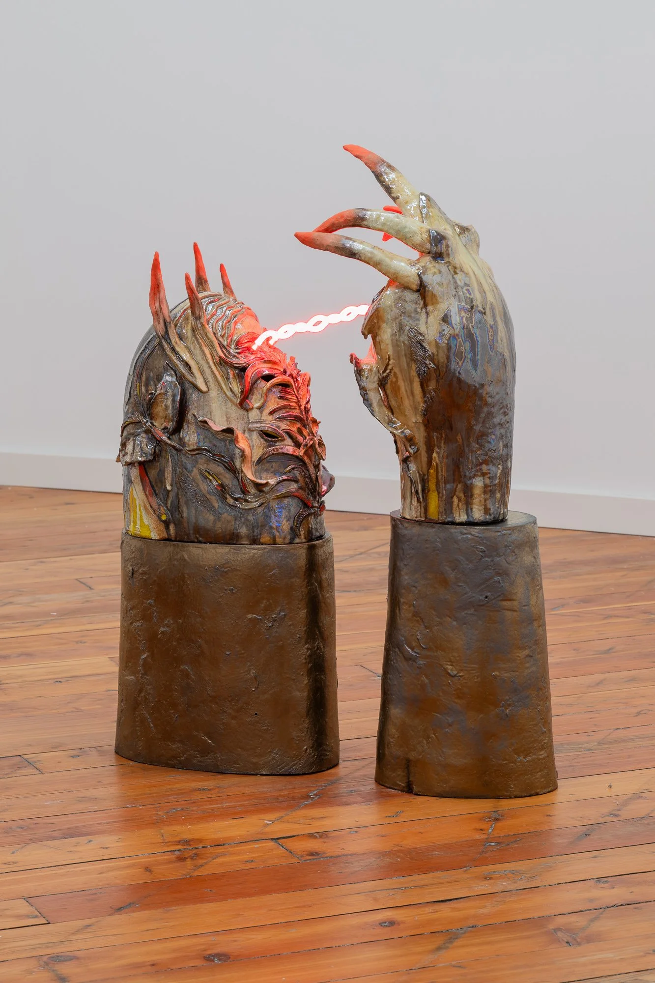 The Mutualism of Dendrophylax Lindenii