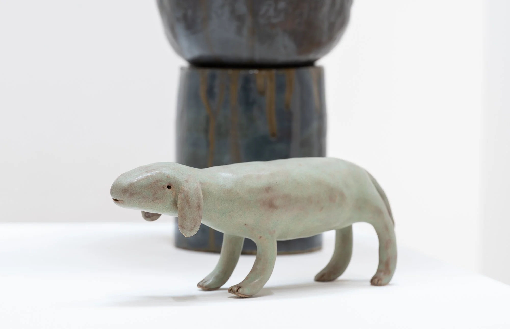 Small Animal Dog