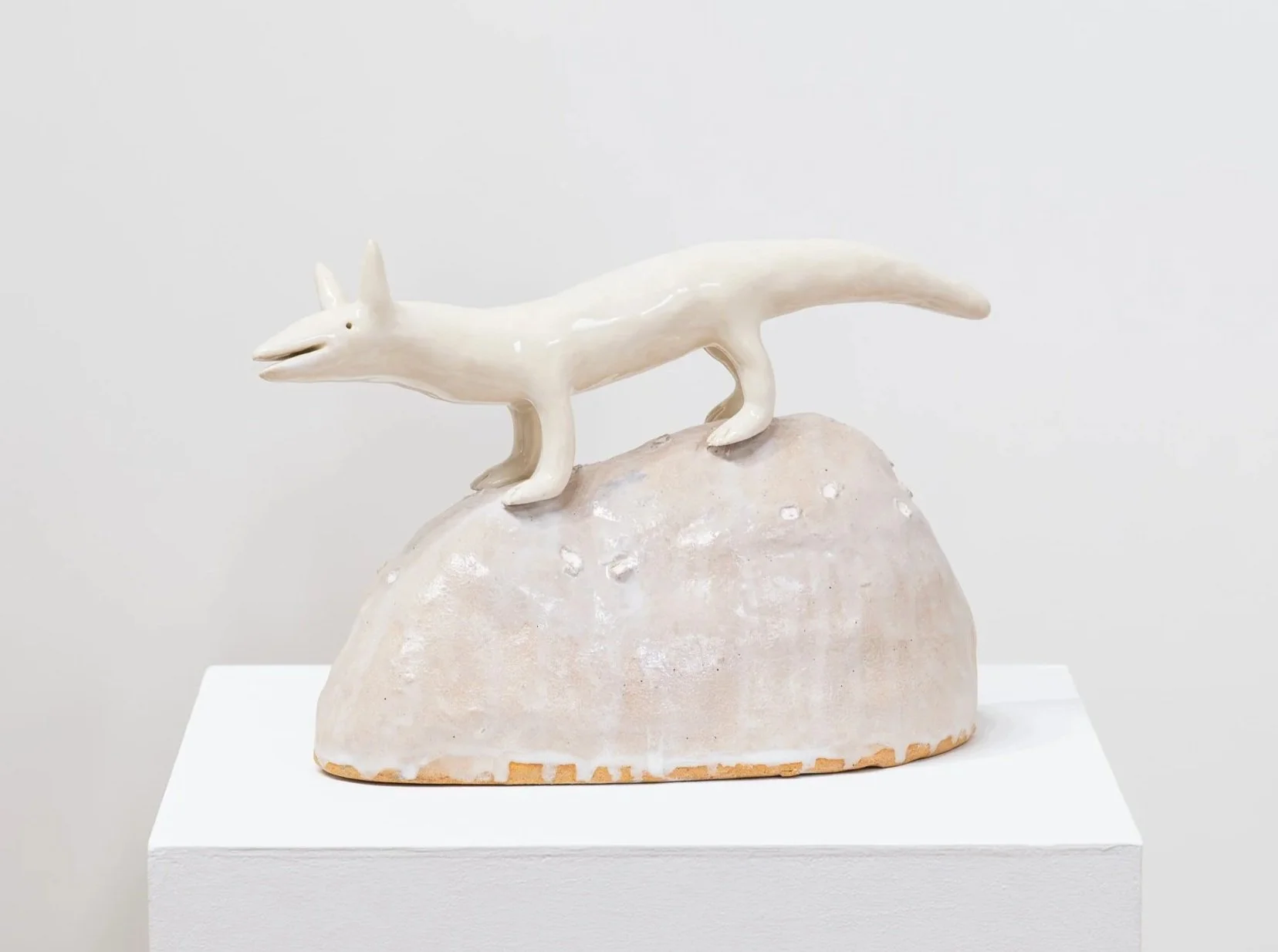 Small Animal #1