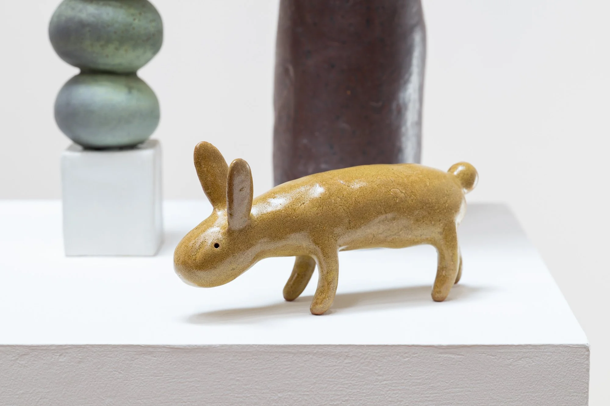 Small Animal #5