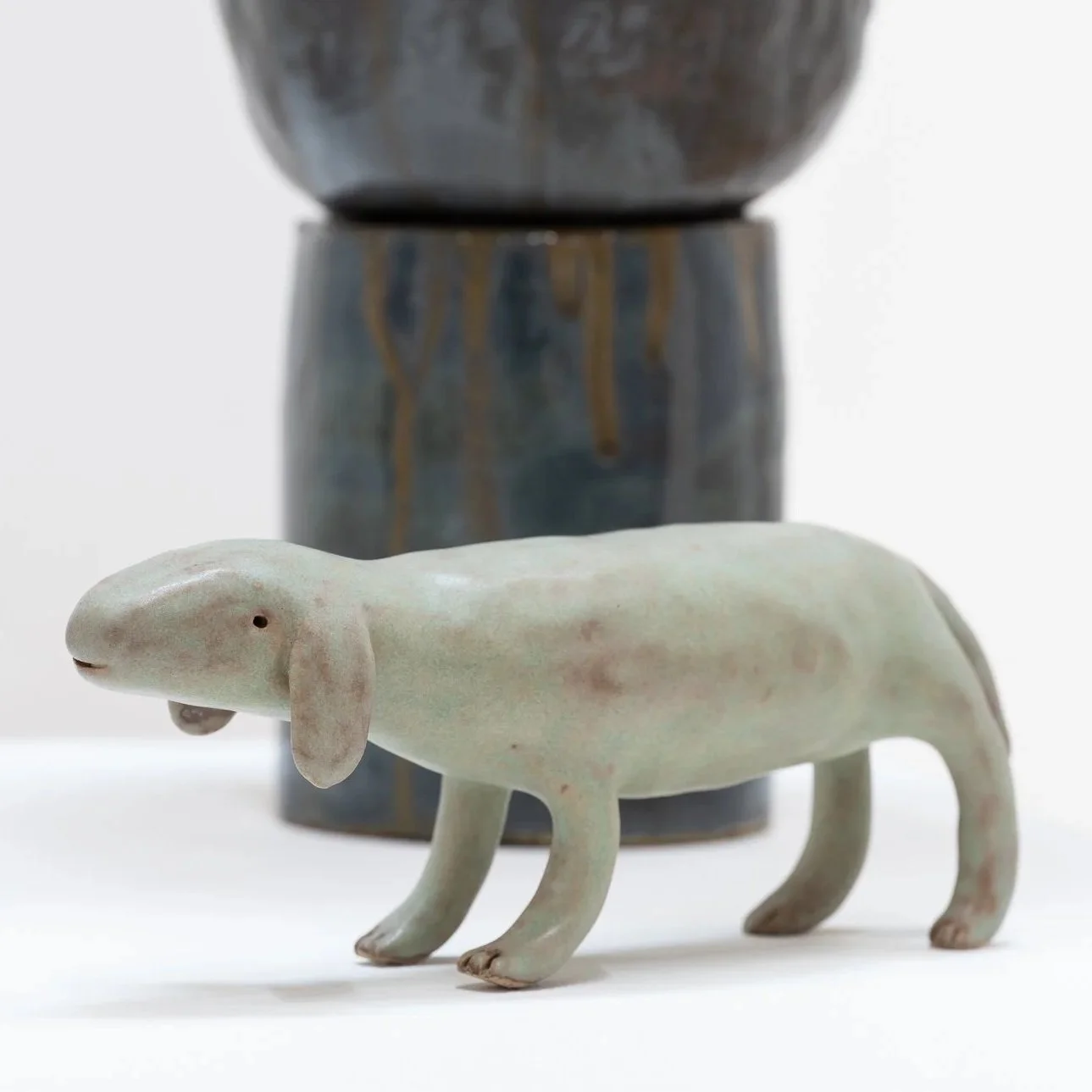 Small Animal Dog