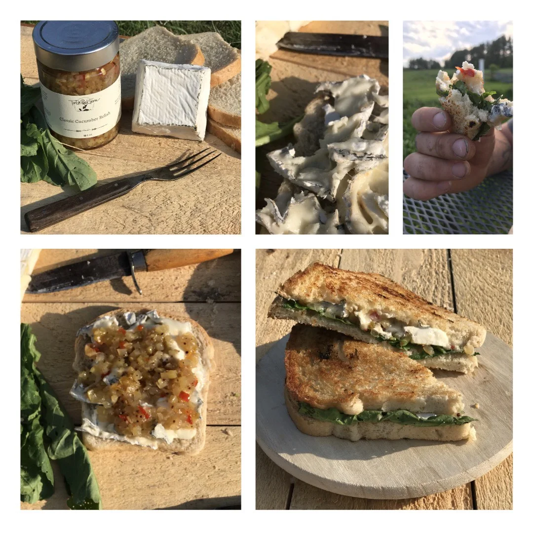 Boothby Blond Blog Turtle Rock Farm