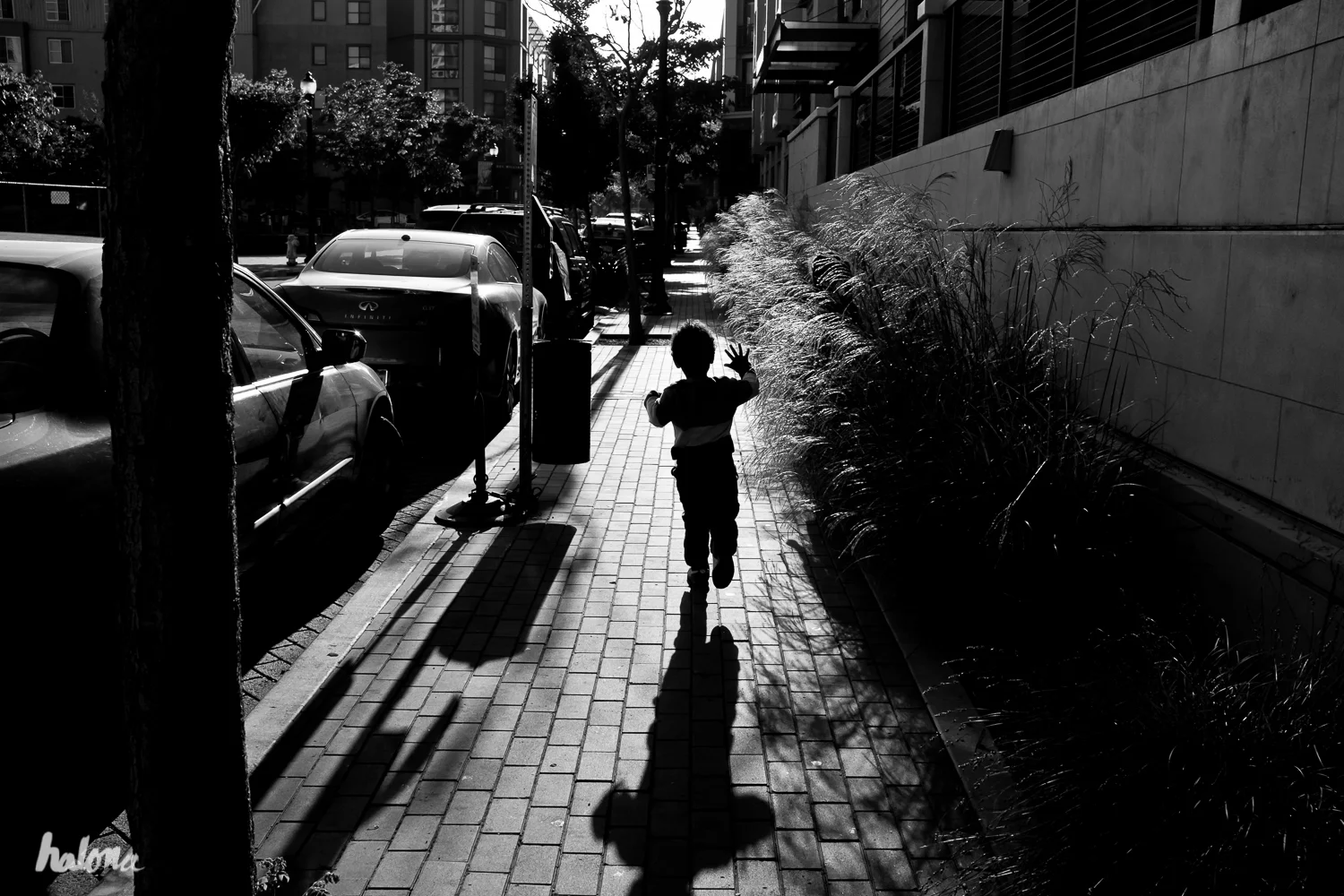 untitled-(3-of-5).jpg