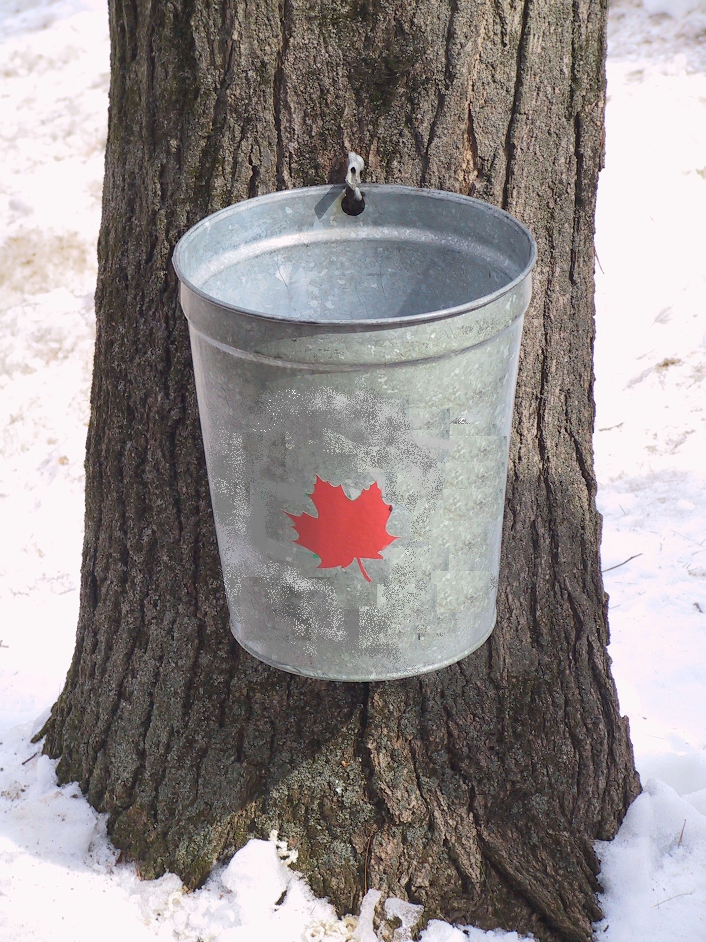 mmmm-bucket.jpg