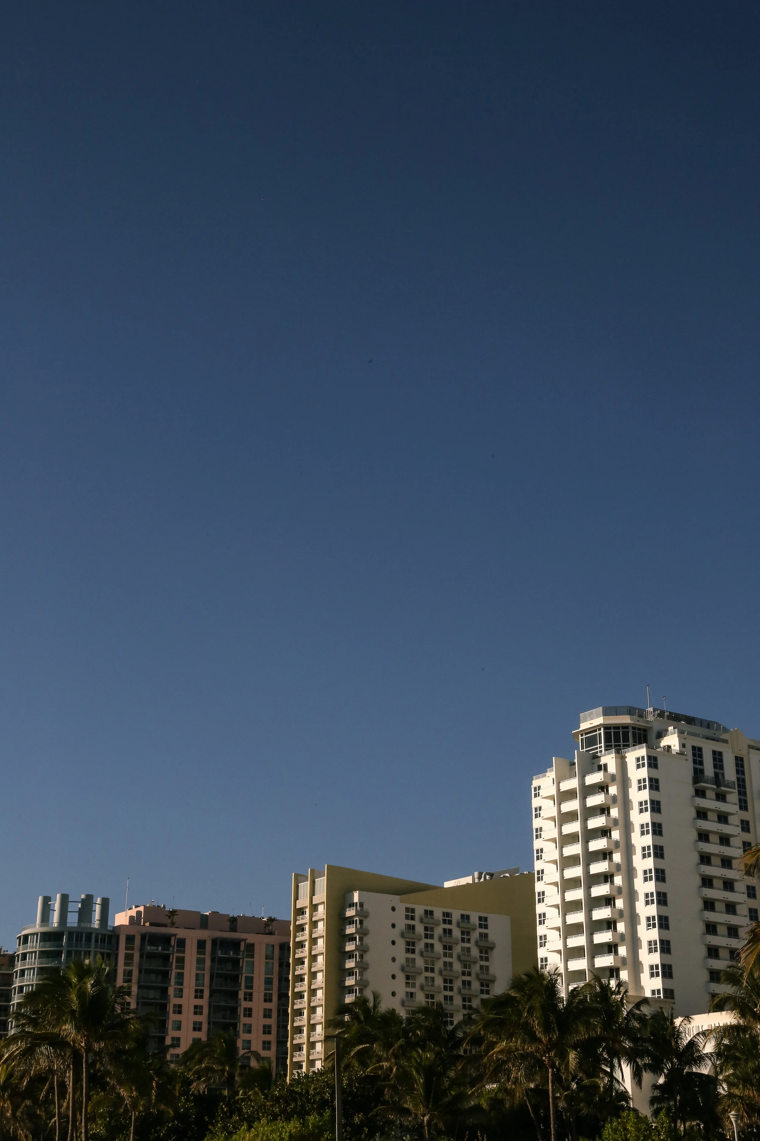 Miami - Look Up-7.jpg