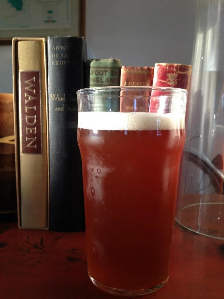 Make some beer, read a classic.