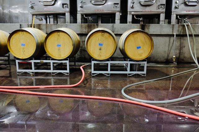 Clean barrels ready for 2014 wine.