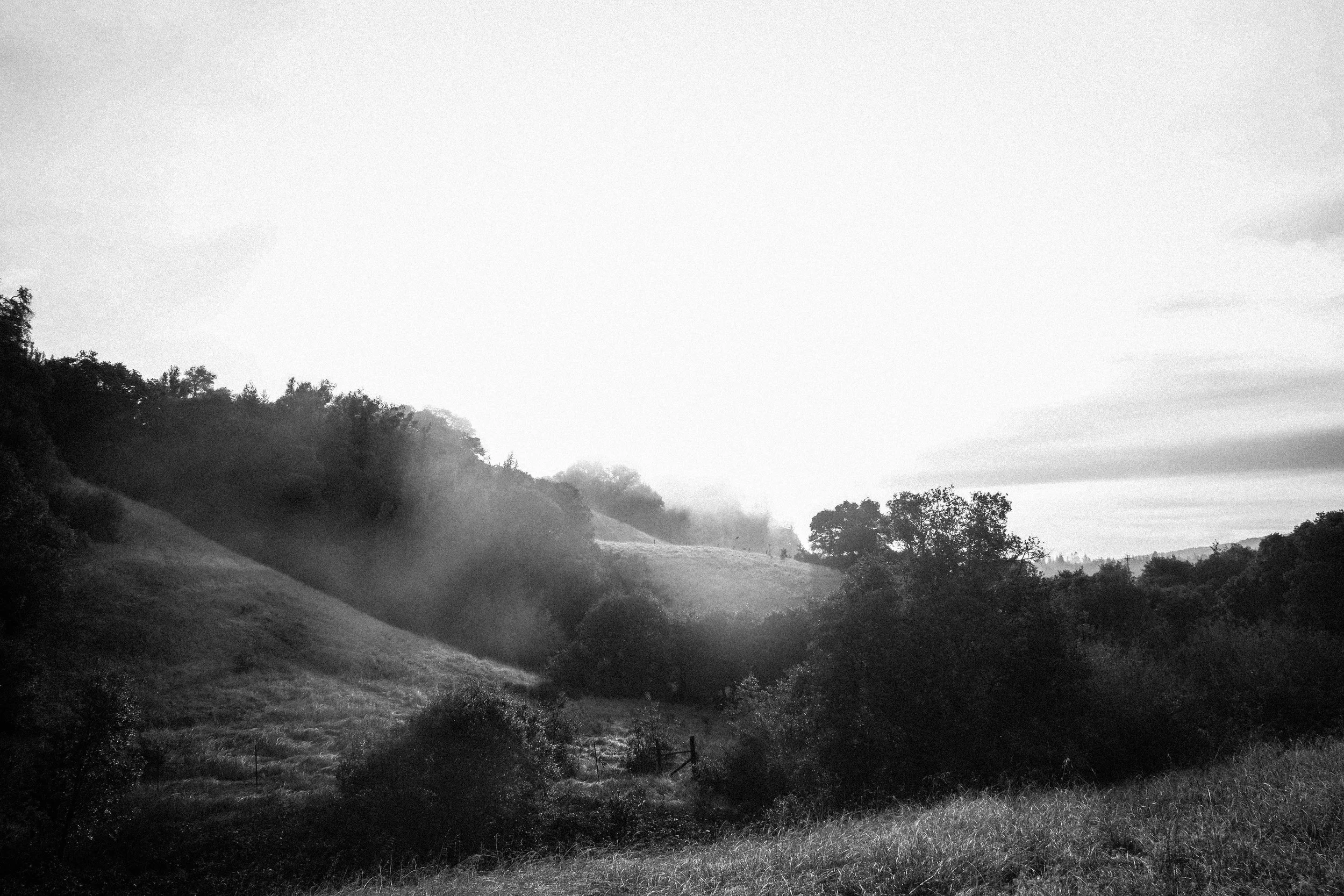AndersonValley-2867.jpg