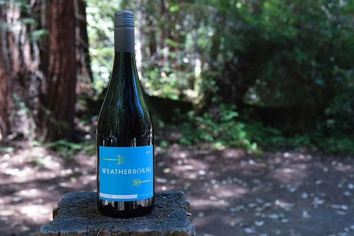 2014 Pinot Noir Sta. Rita Hills