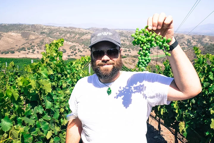 2015 Grenache Santa Barbara Co. | Winemaker, Cris Carter in John Sebastiano Vineyard with Grenache cluster.