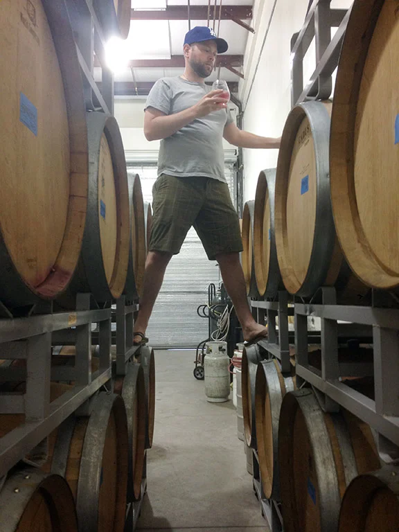 Sampling barrels in the winery, 2014.
