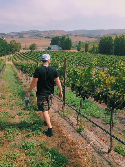 Visiting Kessler-Hawk vineyard in Sta. Rita Hills, 2014.