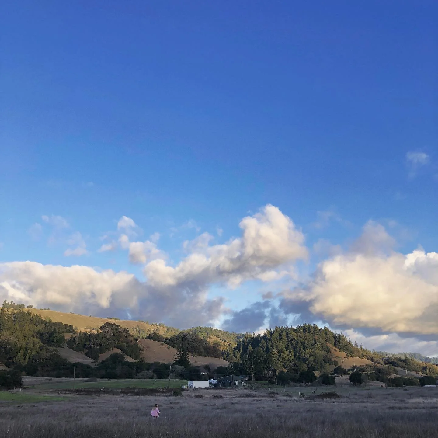 It may be quiet in Anderson Valley, but the sky is always talking. ☁️ Another sunshine weekend ahead... need an escape?
#andersonvalley #cloudscape