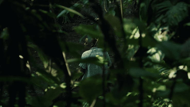 Nuanced Notes: Visit Costa Rica
