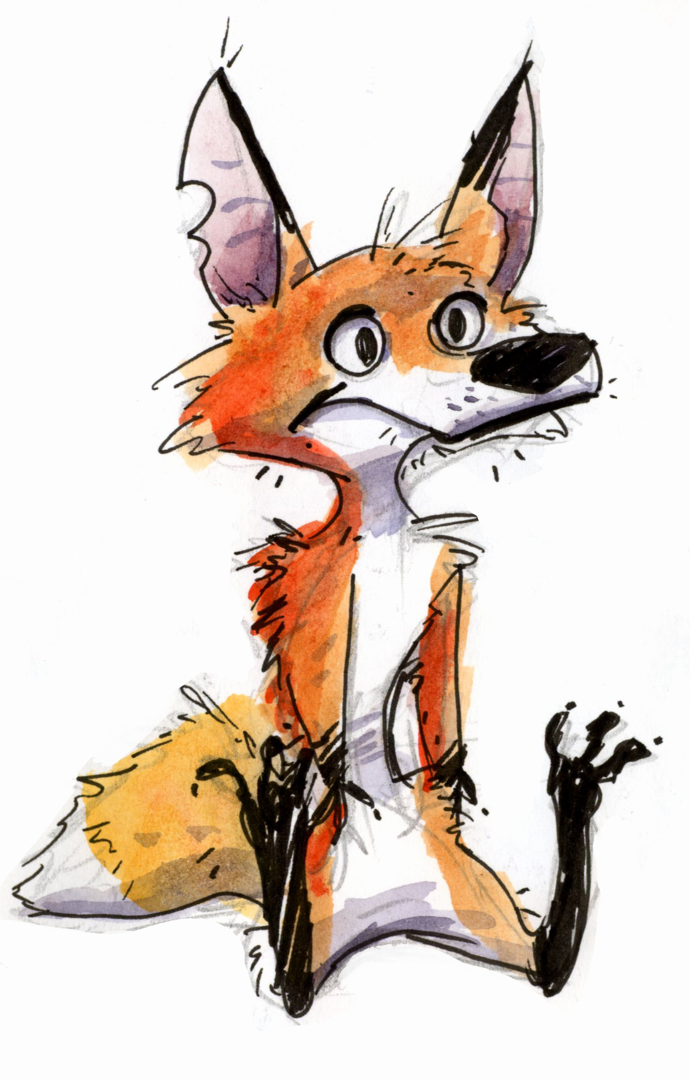 foxsketch004.jpg