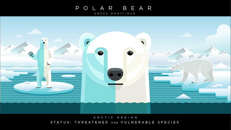 Polar.png